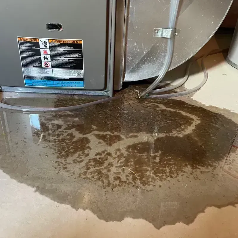 Appliance Leak Cleanup in Pleasant Valley, WV